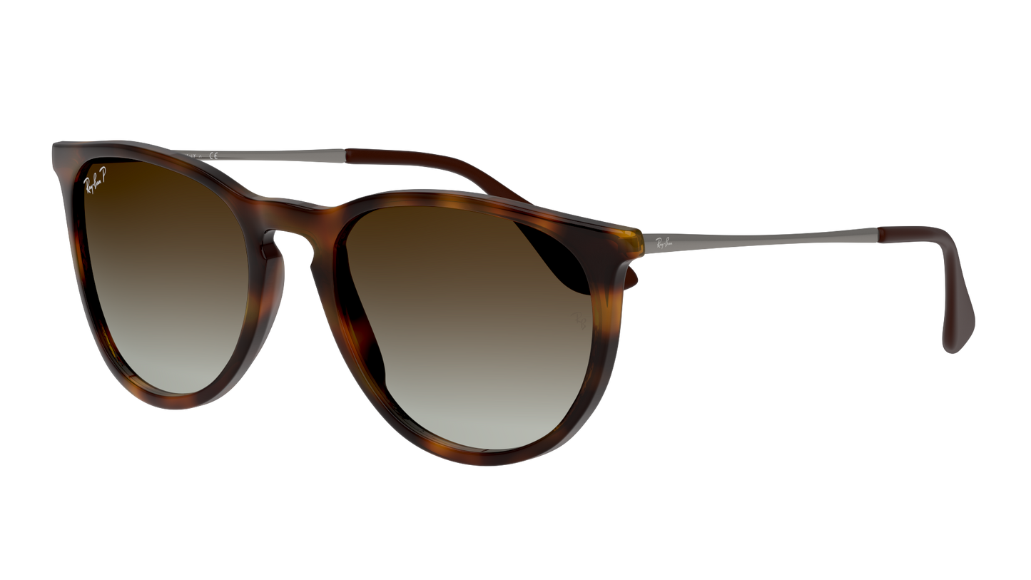 Ray Ban RB4171 Erika Rubber Havana
