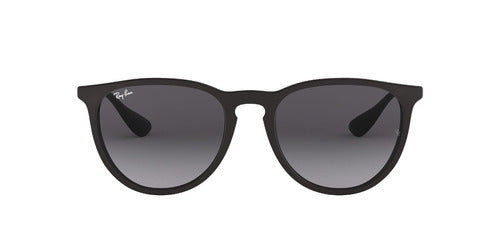 Ray Ban RB4171 Erika Black